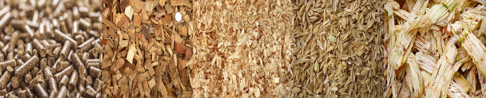 BIOMASS.png