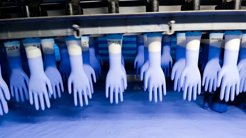 Medical glove & pharmaceutical manufacturing